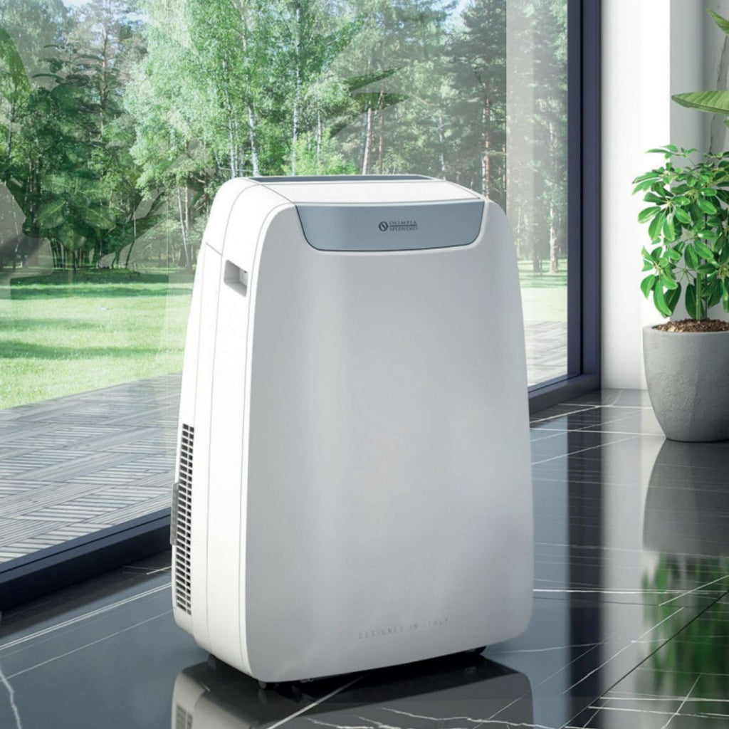 Climatiseur Olimpia Splendid Dolceclima Air Pro 13