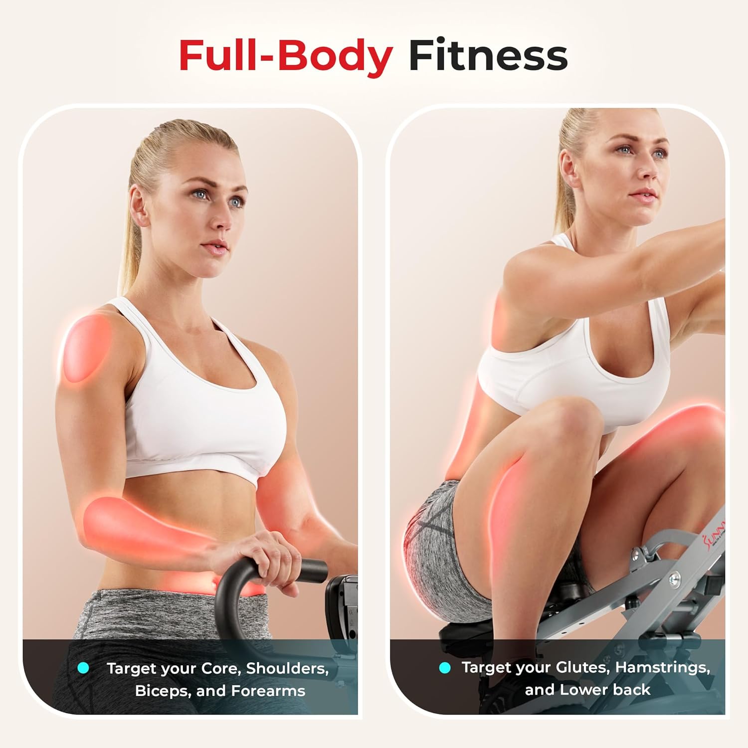 Sunny Health & Fitness Machine à ramer Upright Row-N-Ride