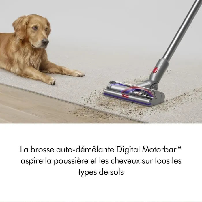 Aspirateur balai Dyson V15 Detect Absolute Gris et Violet