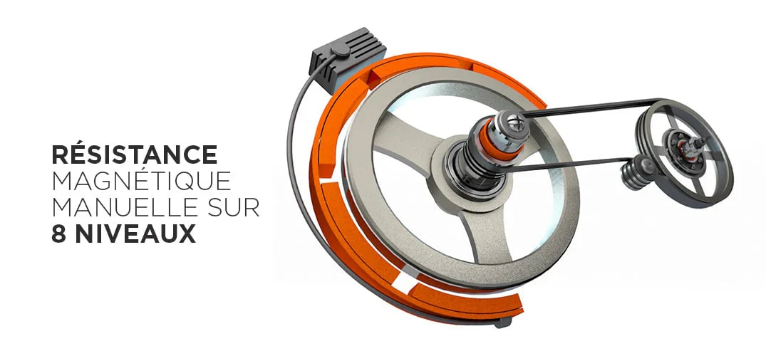 Rameur Fitness Doctor Shark 2
