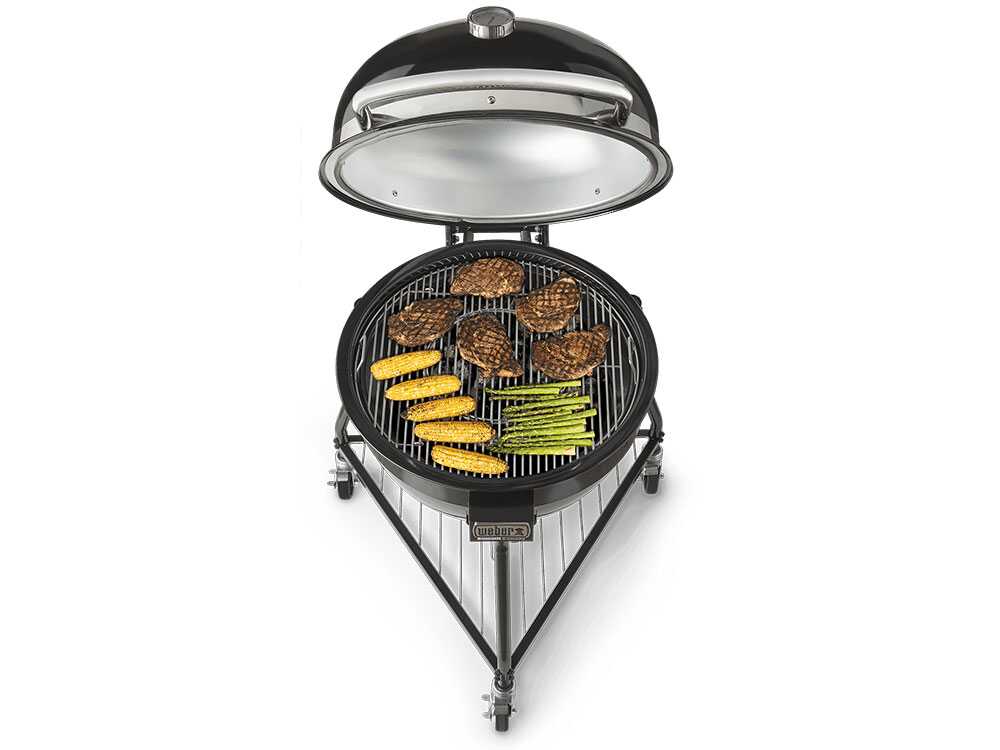 Weber Summit Kamado E6